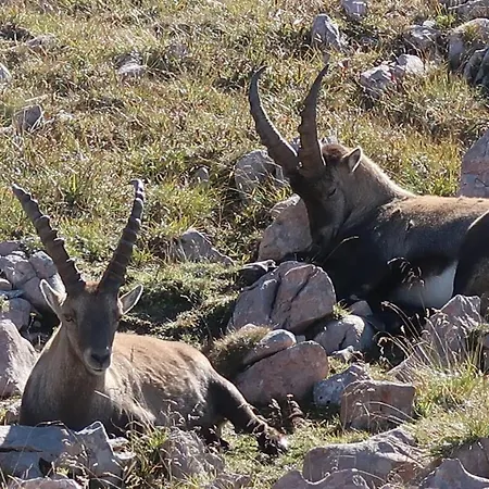 胡贝尔公寓 公寓 *